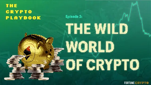 'Video thumbnail for The wide world of crypto'
