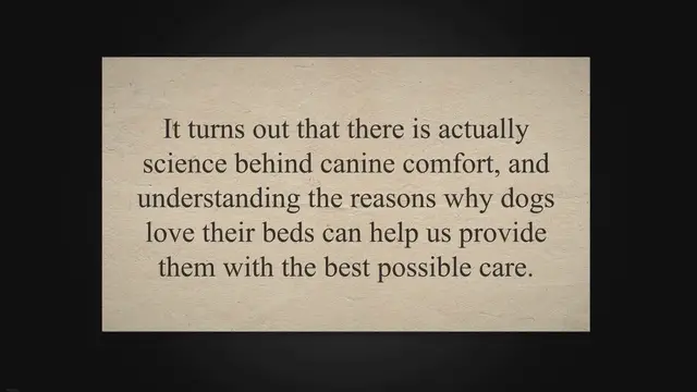 'Video thumbnail for The Science Behind Canine Comfort: Exploring Why Dogs Love Their Beds'