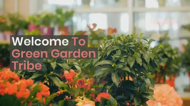 'Video thumbnail for Welcome to Green Garden Tribe'