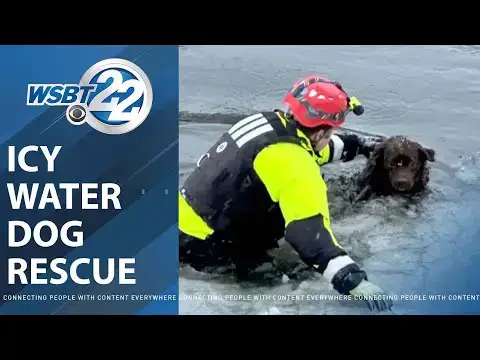 'Video thumbnail for Dog Rescue From freezing Alouette River'
