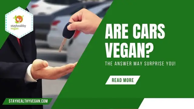 'Video thumbnail for Are Cars Vegan Friendly? Can Vegan Use A Car?'