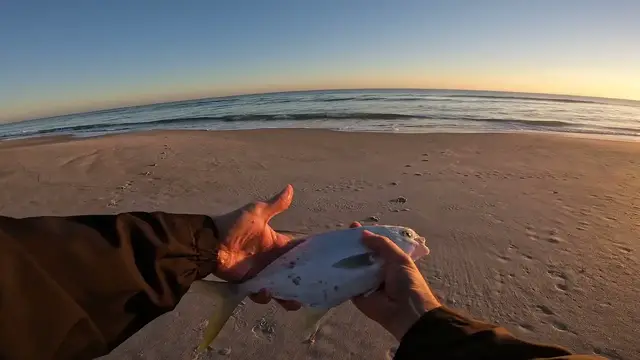 'Video thumbnail for Why You Should Always Have a Line In The Water When Surf Fishing!'