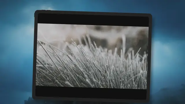 'Video thumbnail for Why Longer Grass in Winter Can Benefit Your Lawn'