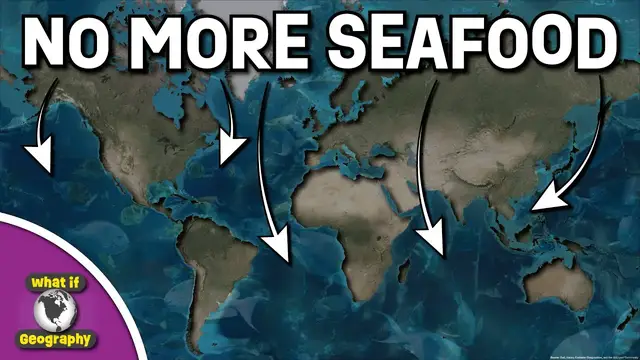 'Video thumbnail for Global Fisheries Collapse: What If The Ocean Runs Out Of Fish?'