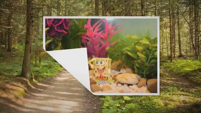 'Video thumbnail for Hornwort: The Complete Care Guide'
