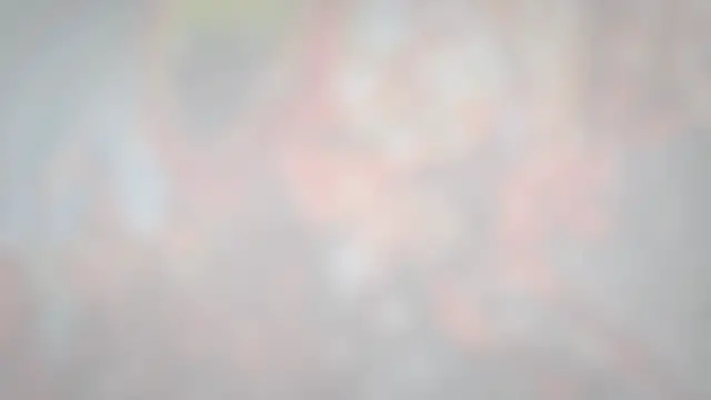 'Video thumbnail for Peacock Mantis Shrimp: Care, Behaviour, Diet, Breed and Reproduce'