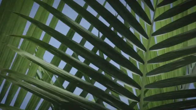 'Video thumbnail for 10 Uncommon House Plant Mistakes Everyone Makes'
