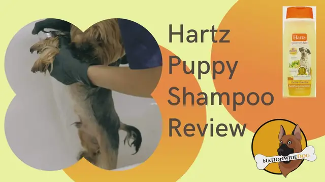 'Video thumbnail for Hartz Puppy Shampoo Review'