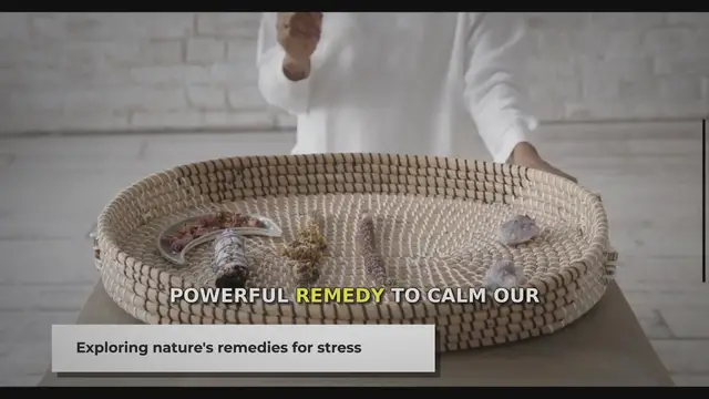 'Video thumbnail for Ashwagandha: Nature's Answer to Stress and Anxiety'