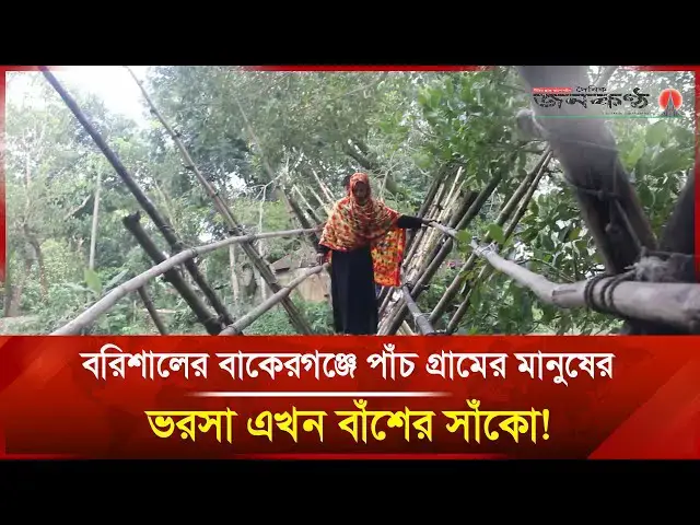 'Video thumbnail for বরিশালের বাকেরগঞ্জে পাঁচ গ্রামের মানুষের ভরসা এখন বাঁশের সাঁকো! | Janakantha'