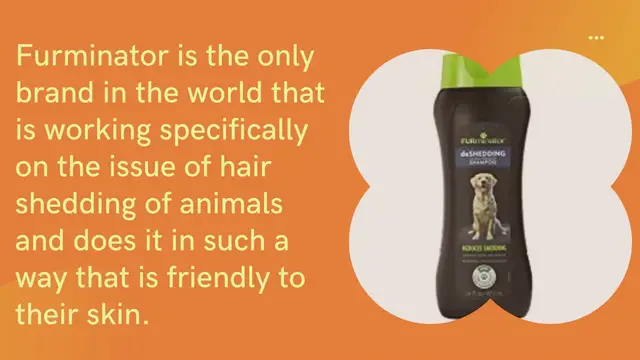 'Video thumbnail for Furminator Deshedding Shampoo Review And Analysis'