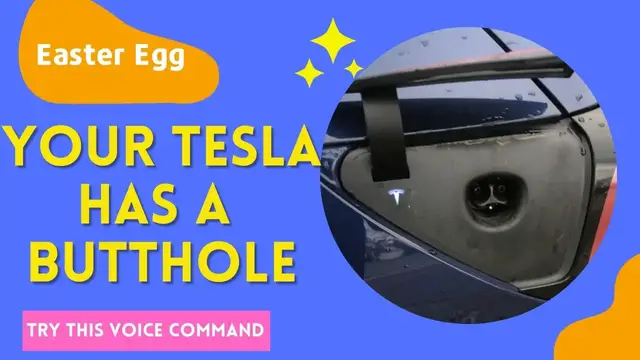 'Video thumbnail for Tesla Butthole Voice Command'