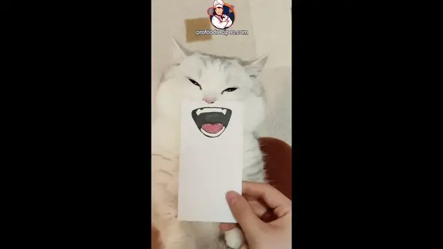 'Video thumbnail for funny Emoji with cat'
