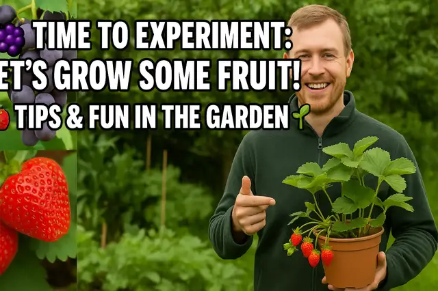 'Video thumbnail for 🍇 Time to Experiment: Let’s Grow Some Fruit! 🍓 Tips & Fun in the Garden 🌱'