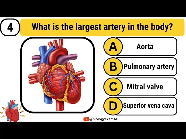 'Video thumbnail for Quiz on Heart|| Interactive MCQ on Human Heart|| 20 Heart Questions, Answers and Explanation'