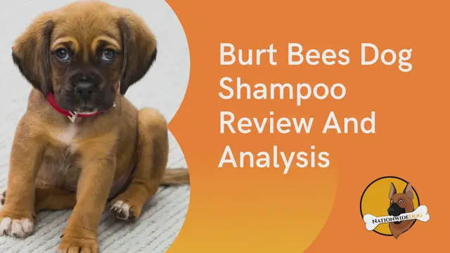 'Video thumbnail for Burt Bees Dog Shampoo Review And Analysis'