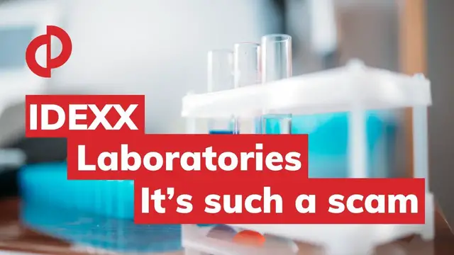 'Video thumbnail for IDEXX Laboratories reviews: Their lab test said my dog was dying'