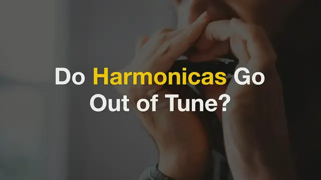 'Video thumbnail for 6 of The Most Common Harmonica Questions – No Stupid Questions'