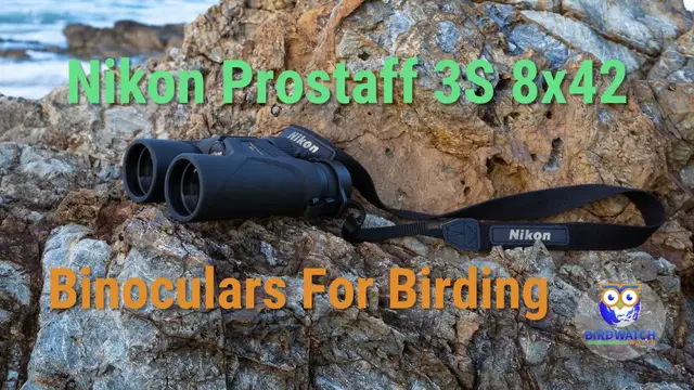 'Video thumbnail for Nikon Prostaff 3S 8x42 Binoculars For Birding'