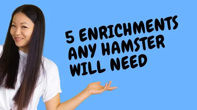 'Video thumbnail for 5 enrichments any hamster will need'