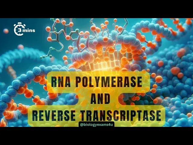 'Video thumbnail for Difference between Reverse Transcriptase and RNA Polymerase|| Comparison'