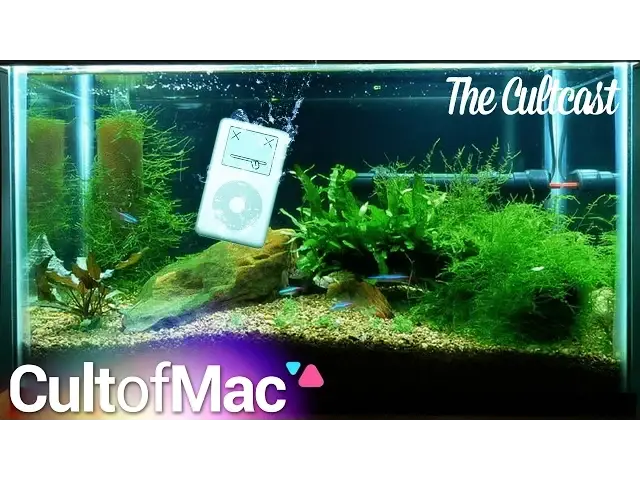 'Video thumbnail for The Cultcast #154 - Brogrammers'