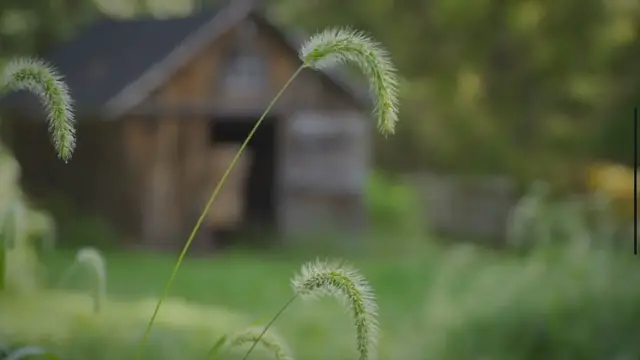 'Video thumbnail for Sayler Park: Cincinnati's Timeless Riverside Retreat'