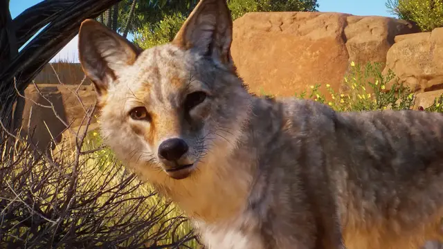 'Video thumbnail for Planet Zoo - Official Americas Animal Pack Announcement Trailer'