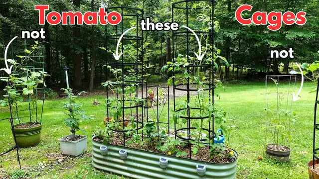 'Video thumbnail for Best Tomato Cages for lots of Heavy Tomatoes'