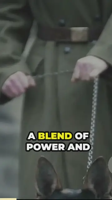 'Video thumbnail for breed all about it'