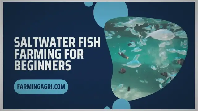 'Video thumbnail for Saltwater Fish Farming for Beginners'