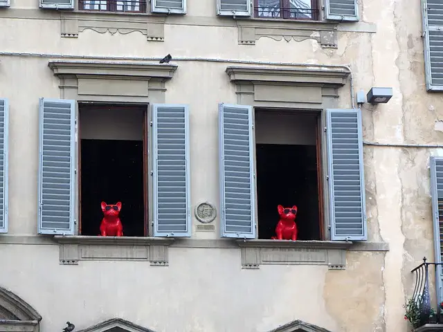 'Video thumbnail for Italian Dog Names: 500+ Incredible Dog Name Ideas'