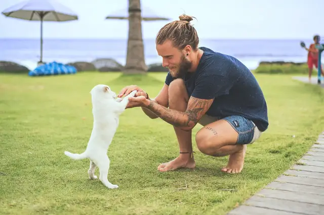 'Video thumbnail for Hawaiian Dog Names: 500+ Fascinating Ideas (UPDATED 2022)'