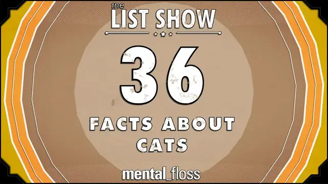 'Video thumbnail for 36 Facts About Cats - mental_floss List Show (Ep.221)'