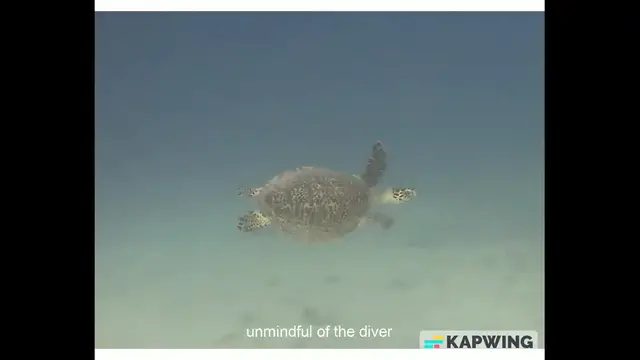 'Video thumbnail for Amazing Palawan Introduction'