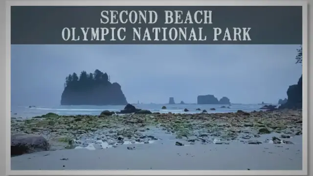 'Video thumbnail for La Push Second Beach, Washington'