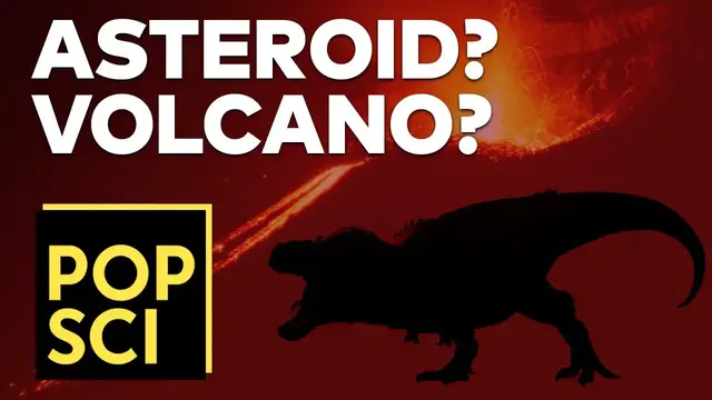 'Video thumbnail for How and When Did the Dinosaurs Die? | VOLCANO OR ASTEROID?'