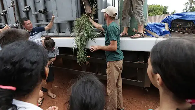 'Video thumbnail for Brazil elephant sanctuary welcomes its newest resident, rescued from a zoo in Argentina'