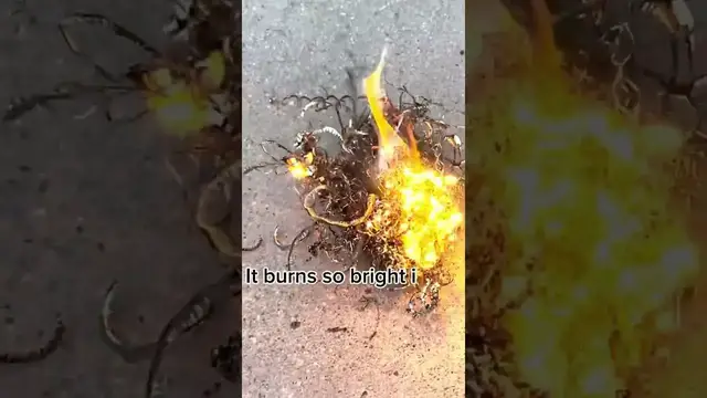 'Video thumbnail for Titanium: Flammable Metal & Fireworks'