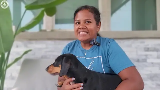 'Video thumbnail for Clever dog can remove bottle caps from bottles in record time'