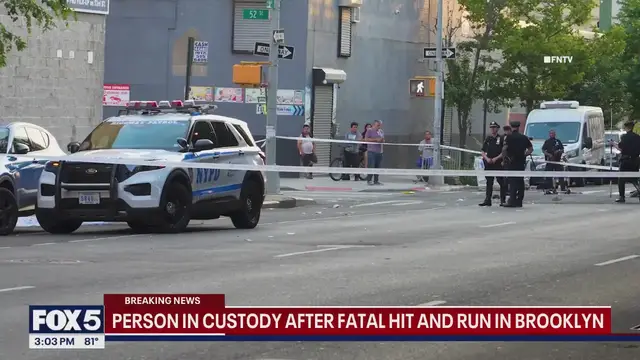 'Video thumbnail for NY News Update: Deadly Brooklyn hit-and-run driver ID’d, NYC weather update, more'