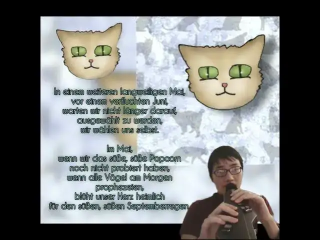 'Video thumbnail for A Headcanon Poem for "Im wunderschönen Monat Mai" EWI Clarinet Play. #ewi #clarinet #music'