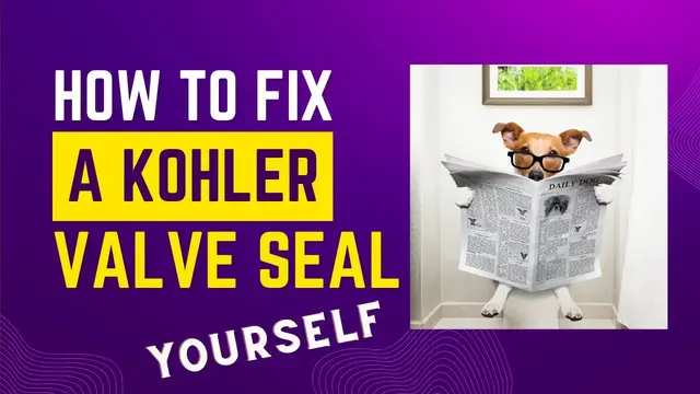 'Video thumbnail for Fix a Kohler Toilet Canister Flush Valve Seal Yourself Quick and Easy'