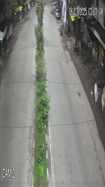 'Video thumbnail for 5 गौवंश को तेज रफ्तार कार ने मारी टक्कर, गौवंश की हुई मौत, CCTV आया सामने'