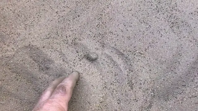 'Video thumbnail for VIDEO   USING SALT TO IMPROVE PASTURES'