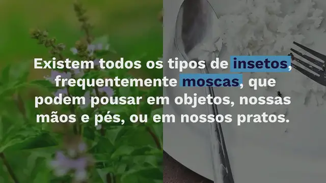 'Video thumbnail for Veja o que fazer se uma mosca pousar na sua comida'