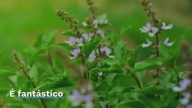 'Video thumbnail for Por que é inteligente adicionar suco de limão ao cozinhar ovos? É fantástico'