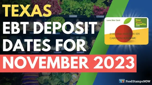 'Video thumbnail for Texas Food Stamp Deposit Dates for November 2023'