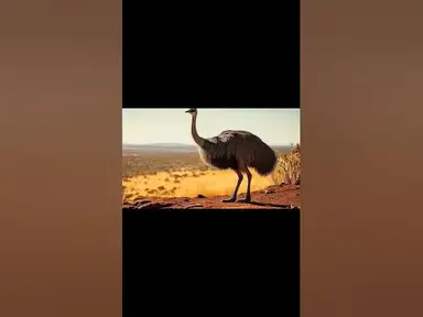 'Video thumbnail for Emus vs Humans The Great Emu War Explained! #emuwar #australia #history #historyfacts #birds'