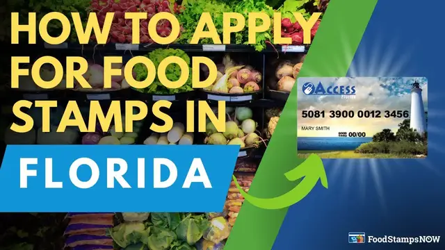'Video thumbnail for How to Apply for Food Stamps in Florida'